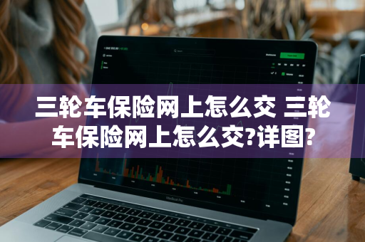 三轮车保险网上怎么交 三轮车保险网上怎么交?详图?