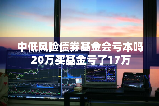 中低风险债券基金会亏本吗 20万买基金亏了17万