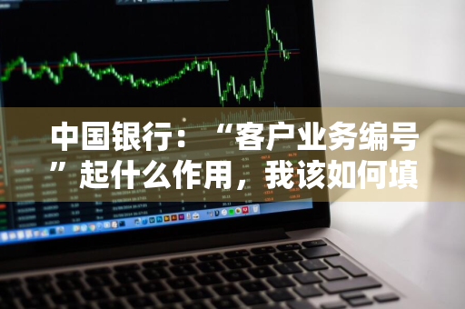 中国银行：“客户业务编号”起什么作用，我该如何填写 中国银行客户业务编号怎么填写