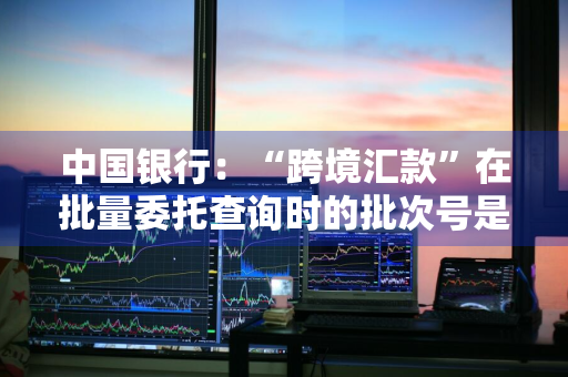 中国银行：“跨境汇款”在批量委托查询时的批次号是我自己定义的吗 