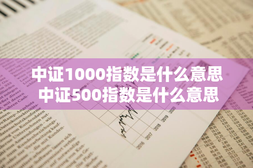 中证1000指数是什么意思 中证500指数是什么意思