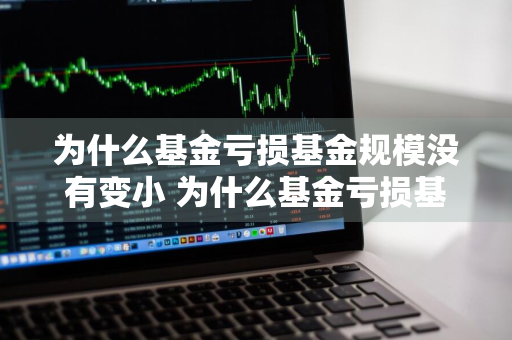 为什么基金亏损基金规模没有变小 为什么基金亏损基金规模没有变小呢