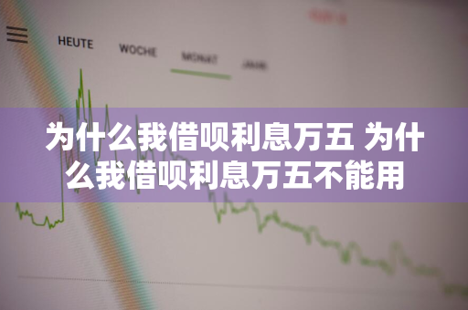 为什么我借呗利息万五 为什么我借呗利息万五不能用