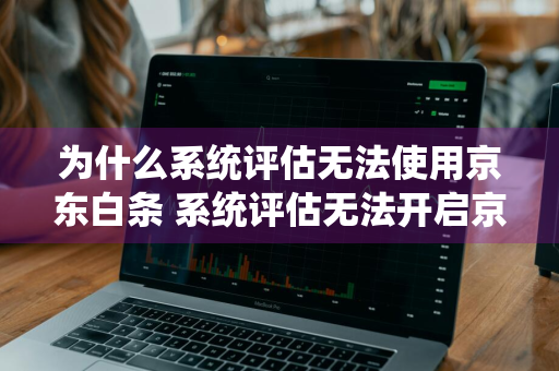 为什么系统评估无法使用京东白条 系统评估无法开启京东白条