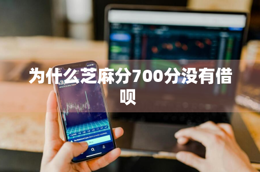 为什么芝麻分700分没有借呗 