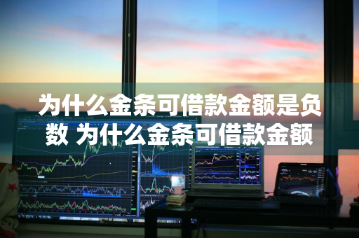 为什么金条可借款金额是负数 为什么金条可借款金额是负数的