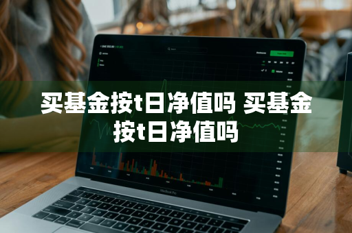 买基金按t日净值吗 买基金按t日净值吗