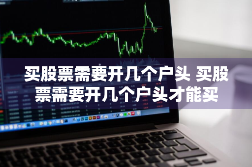 买股票需要开几个户头 买股票需要开几个户头才能买
