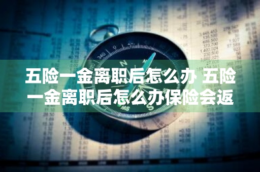 五险一金离职后怎么办 五险一金离职后怎么办保险会返吗