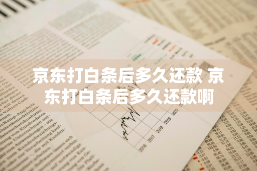 京东打白条后多久还款 京东打白条后多久还款啊