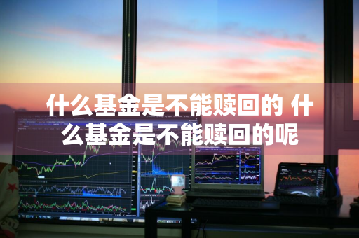 什么基金是不能赎回的 什么基金是不能赎回的呢