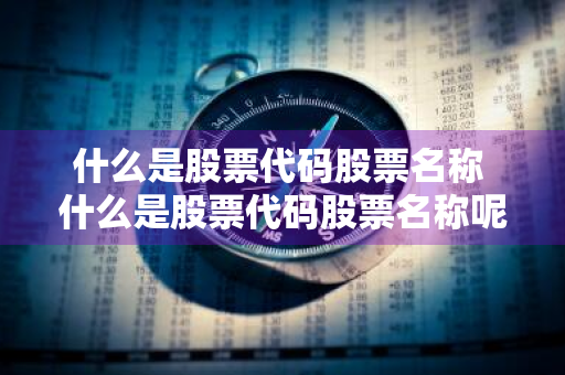 什么是股票代码股票名称 什么是股票代码股票名称呢