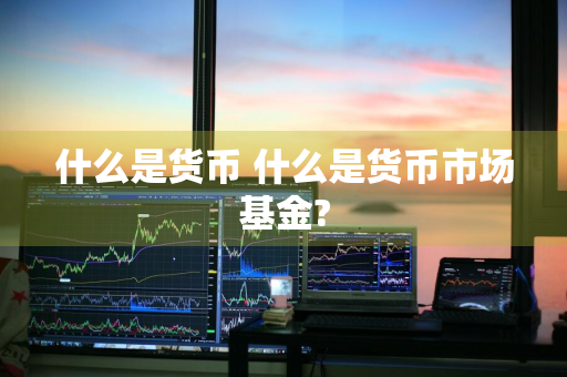 什么是货币 什么是货币市场基金?