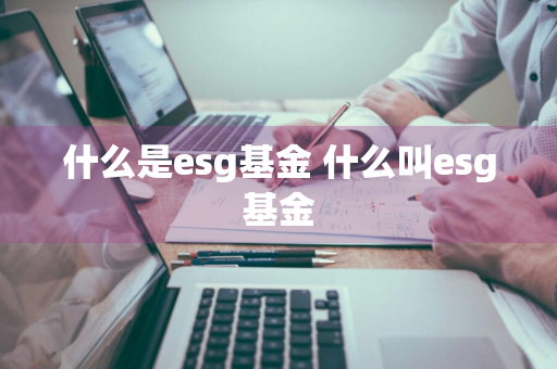 什么是esg基金 什么叫esg基金