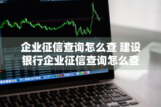 企业征信查询怎么查 建设银行企业征信查询怎么查