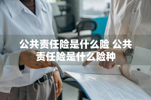 公共责任险是什么险 公共责任险是什么险种