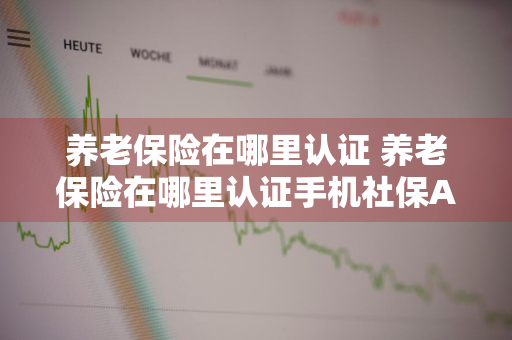 养老保险在哪里认证 养老保险在哪里认证手机社保APP