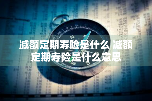 减额定期寿险是什么 减额定期寿险是什么意思