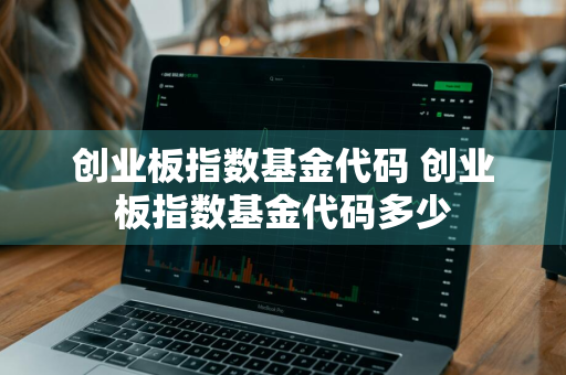 创业板指数基金代码 创业板指数基金代码多少