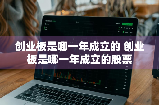 创业板是哪一年成立的 创业板是哪一年成立的股票