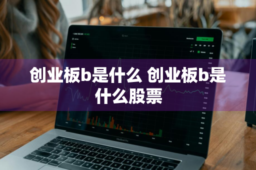 创业板b是什么 创业板b是什么股票