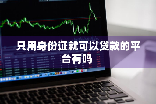 只用身份证就可以贷款的平台有吗 