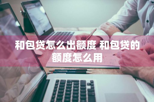 和包贷怎么出额度 和包贷的额度怎么用