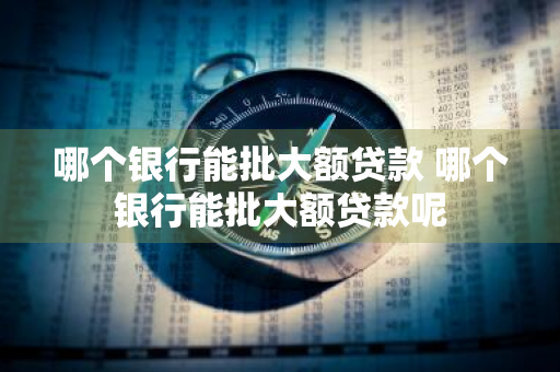 哪个银行能批大额贷款 哪个银行能批大额贷款呢
