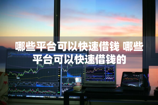 哪些平台可以快速借钱 哪些平台可以快速借钱的