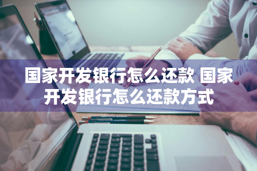国家开发银行怎么还款 国家开发银行怎么还款方式