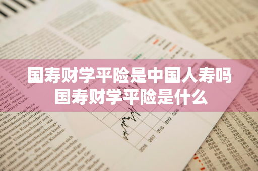 国寿财学平险是中国人寿吗 国寿财学平险是什么