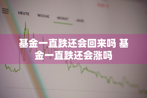 基金一直跌还会回来吗 基金一直跌还会涨吗