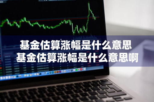 基金估算涨幅是什么意思 基金估算涨幅是什么意思啊