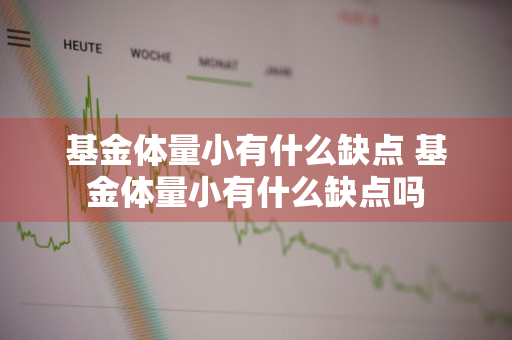 基金体量小有什么缺点 基金体量小有什么缺点吗