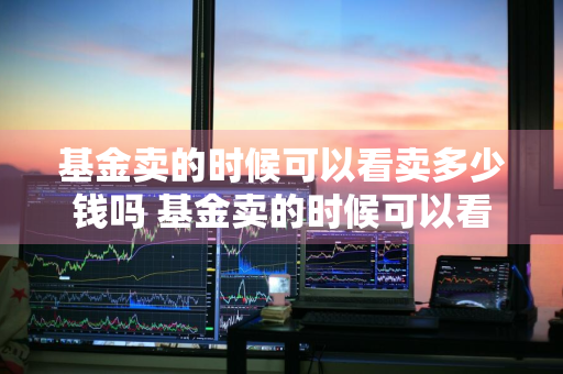 基金卖的时候可以看卖多少钱吗 基金卖的时候可以看卖多少钱吗知乎