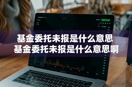 基金委托未报是什么意思 基金委托未报是什么意思啊