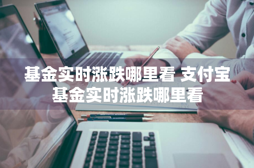 基金实时涨跌哪里看 支付宝基金实时涨跌哪里看