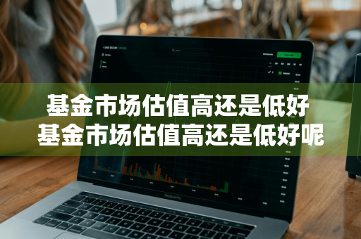 基金市场估值高还是低好 基金市场估值高还是低好呢