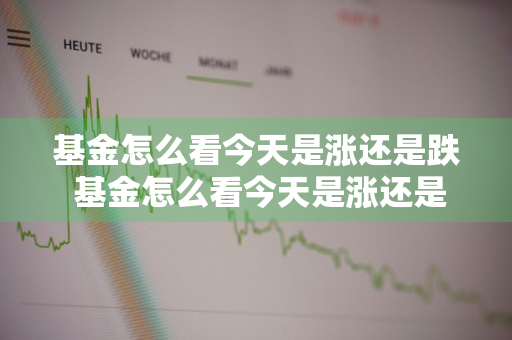 基金怎么看今天是涨还是跌 基金怎么看今天是涨还是跌了