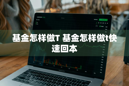 基金怎样做T 基金怎样做t快速回本