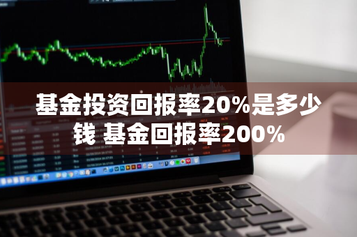 基金投资回报率20%是多少钱 基金回报率200%