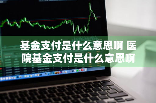 基金支付是什么意思啊 医院基金支付是什么意思啊