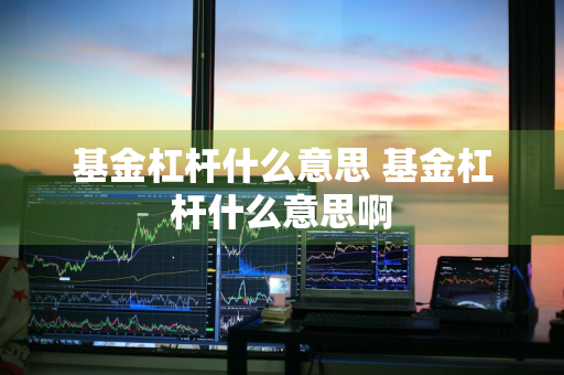 基金杠杆什么意思 基金杠杆什么意思啊