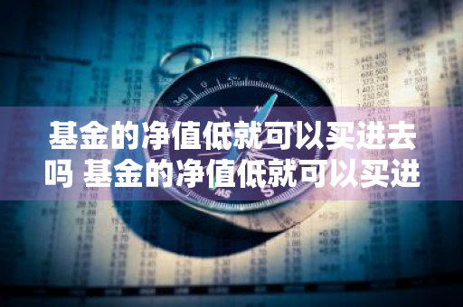 基金的净值低就可以买进去吗 基金的净值低就可以买进去吗为什么