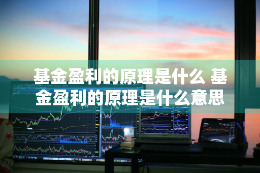 基金盈利的原理是什么 基金盈利的原理是什么意思
