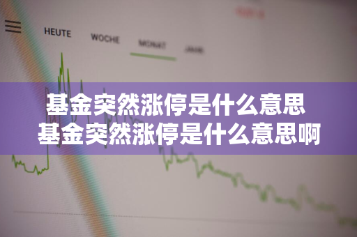 基金突然涨停是什么意思 基金突然涨停是什么意思啊