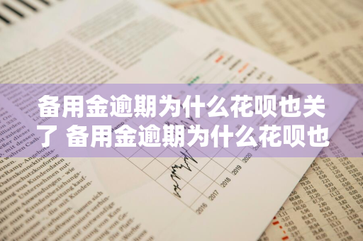 备用金逾期为什么花呗也关了 备用金逾期为什么花呗也关了呢