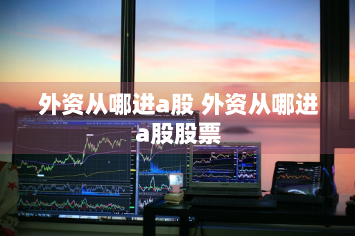 外资从哪进a股 外资从哪进a股股票