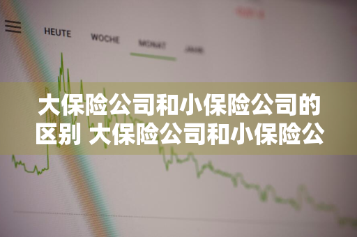 大保险公司和小保险公司的区别 大保险公司和小保险公司的区别在哪里
