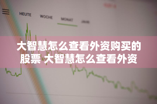 大智慧怎么查看外资购买的股票 大智慧怎么查看外资购买的股票价格